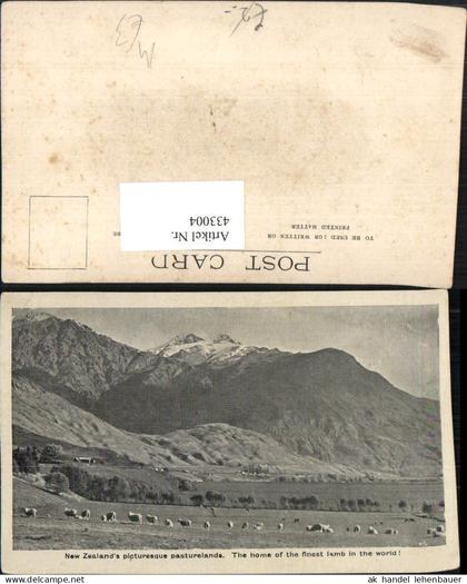 433004,New Zealand Neuseeland Pasturelands Schafe Schafherde Bergkulisse