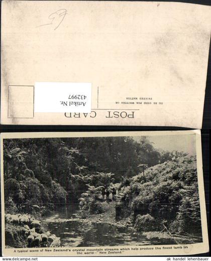432997,New Zealand Neuseeland Crystal mountain streams Fluss Schafe
