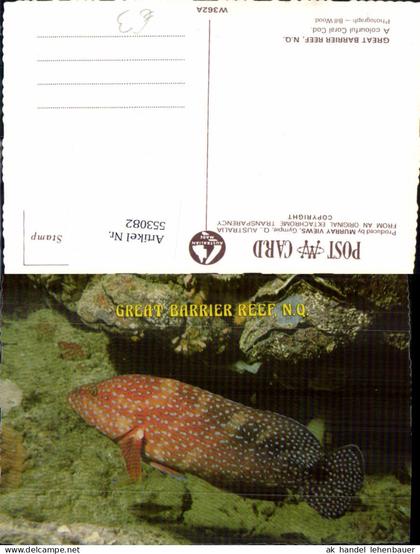 553082,Tiere Australia Great Barrier Reef Fisch Coral koralen Queensland