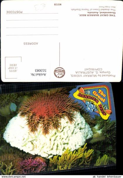 553083,Tiere Australia Great Barrier Reef Fisch Coral koralen Queensland