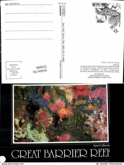 553099,Tiere Great Barrier Reef Australia Koralen Fisch Fish