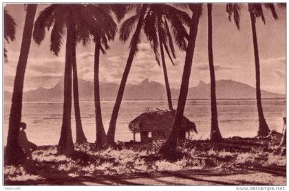 Océanie : Paysage Tahitien