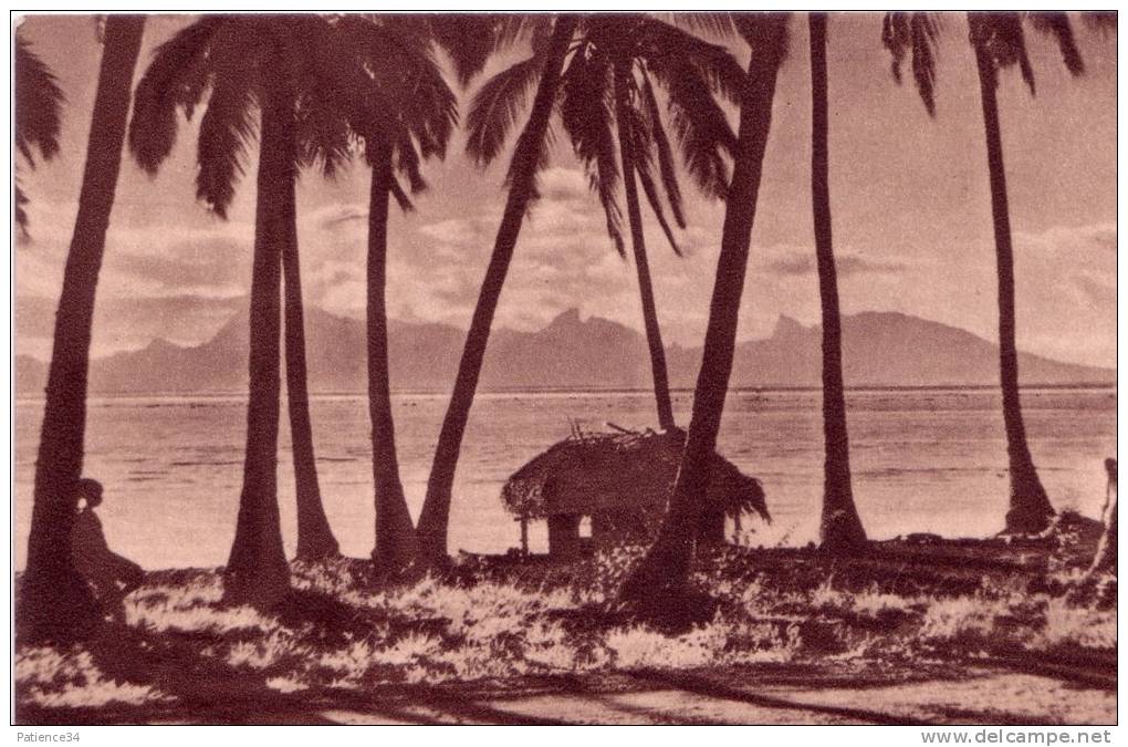 Océanie : Paysage Tahitien