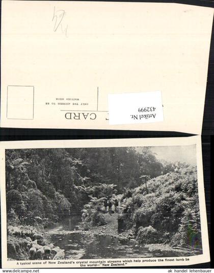 432999,New Zealand Neuseeland Crystal mountain streams Fluss Schafe