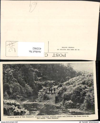 432982,New Zealand Neuseeland Crystal mountain streams Fluss Schafe