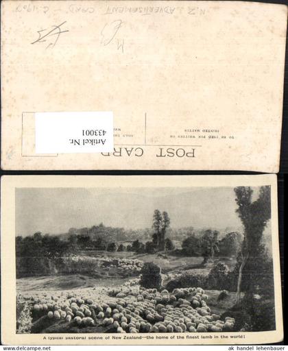 433001,New Zealand Neuseeland Pastoral scene Schafherde Schafe