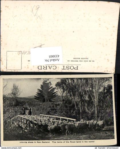 433005,New Zealand Neuseeland Droving sheep Schafherde Schafe Schäfer Brücke