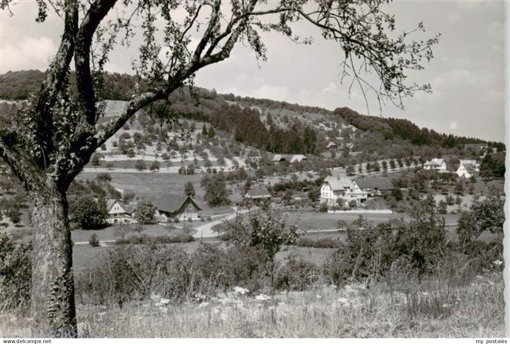 oedsbach Oberkirch Panorama