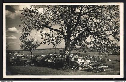 AK Jennersdorf, Fernblick zur Ortschaft