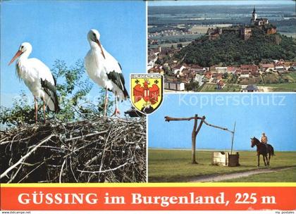 Guessing Burg auf dem Basaltkegel Reiter Stoerche