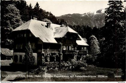 Admont/Gesäuse und Umgebung - Gstatterboden, Hotel Gesäuse und Dependance mit Tamischbachturm