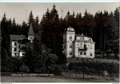 Graz/Steiermark - Tobelbad, Moree Schlössl und Portugal Villa