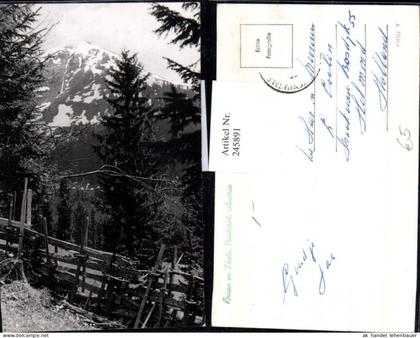 245891,Brixen im Thale Partie Wald Bergkulisse