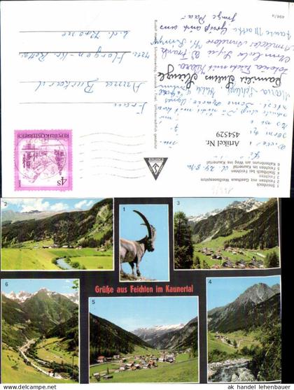 454529,Feichten im Kaunertal Totale Steinbock Mehrbildkarte