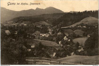 Sommerfrische Gams bei Hieflau