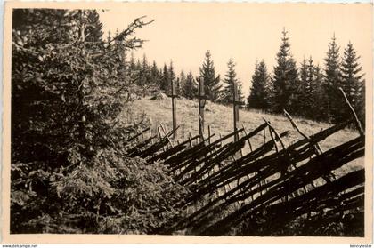 Mürzzuschlag/Steiermark -