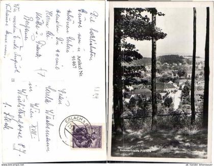 91467,Sommerfrische Pitten Partie im Wald