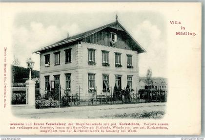 13539016 - Moedling