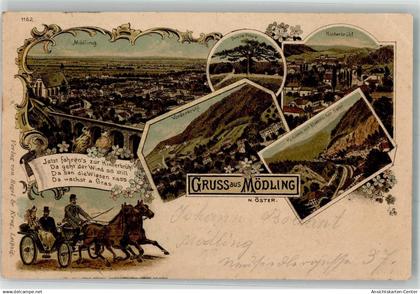 13551404 - Moedling