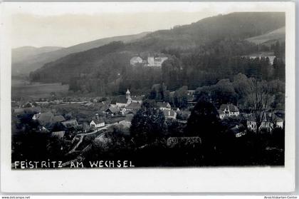 51641274 - Feistritz am Wechsel