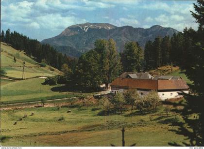 Rohr Gebirge Alpengasthof zur Kalten Kuchl mit Schneeberg