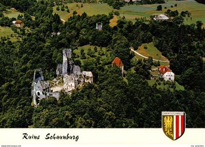 Eferding Oberoesterreich AT Ruine Schaunburg Fliegeraufnahme