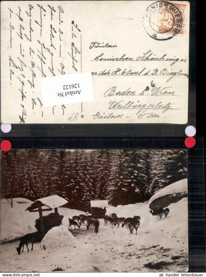 126122,Rehfütterung Wildfütterung bei Königswiesen bei Perg