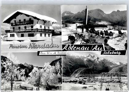 51168575 - Abtenau