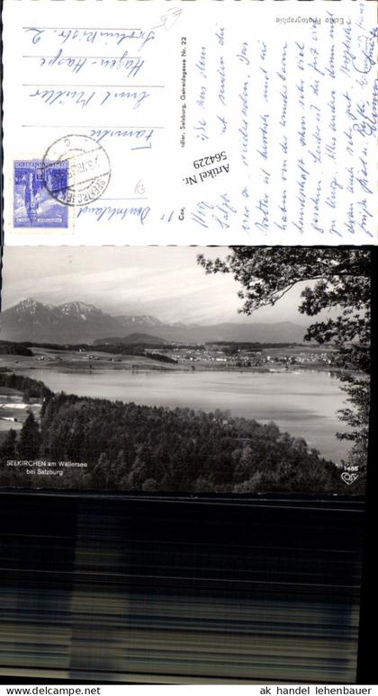 564229,Foto Ak Seekirchen a. Wallersee
