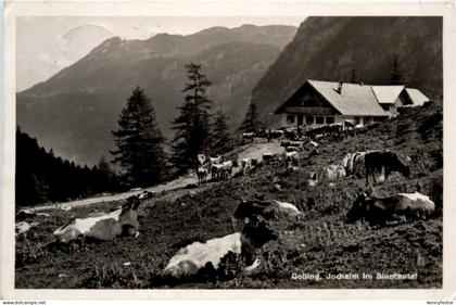 Golling, Jochalm im Bluntautal