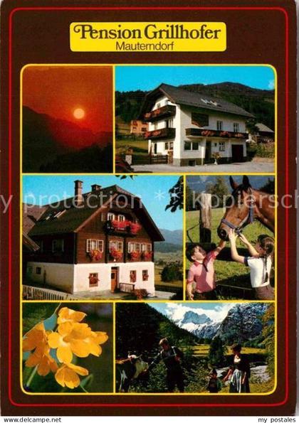 Mauterndorf Pension Grillhofer
