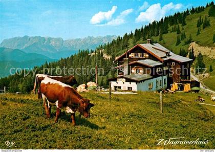 Wagrain Salzburg Wagrainerhaus Kuehe