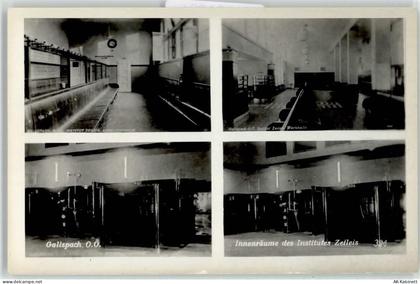 4713 Gallspach - 51924024