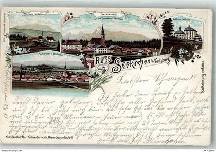 5201 Seekirchen am Wallersee 1899 Lithographie Schloss Seeburg Mühlberg ... - 13666884