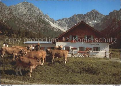 Telfs Tirol Eppzirler Alm Viehweide