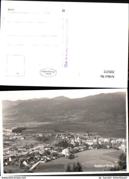 709372 Foto AK Trieben Totale