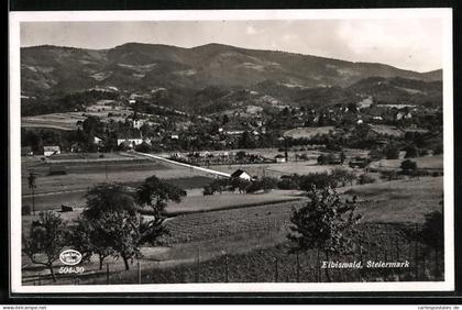 AK Eibiswald, Panorama mit Ort und Bergen