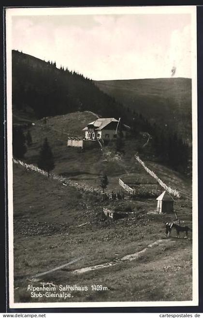 AK Maria Lankowitz, Alpenheim Sattelhaus, Stub-Gleinalpe