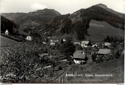 Hochlantsch/Steiermark und Umgebung - Sommerfrische Gasen bei Birkfeld