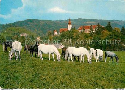 Koeflach Lipizzanergestuet Piber