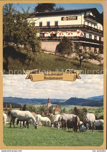 Koeflach Panorama-Pension Kreuzberghof Pferde