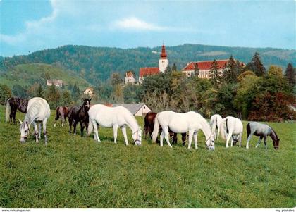 Koeflach Steiermark AT Lipizzanergestuet Piber Pferdekoppe Kirche