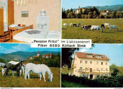 Koeflach Steiermark AT Pension Fritzl Gaestezimmer Lipizzaner auf der Weide