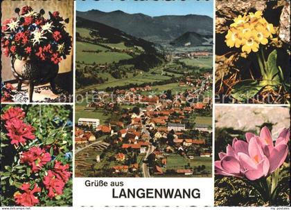 Langenwang Steiermark Blumen