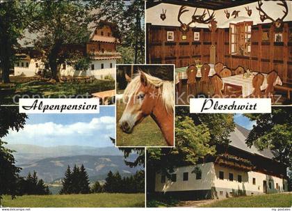 Rein Steiermark Alpenpension Pleschwirt Gastraum Panorama
