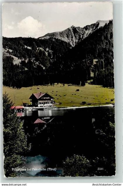39384325 - Tannheim