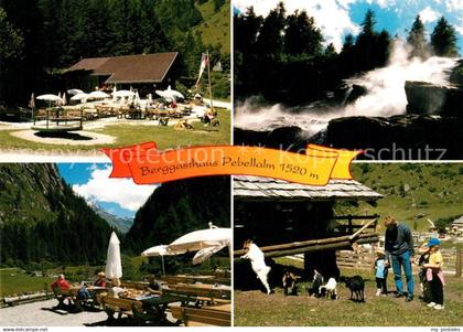 Praegraten Grossvenediger Berggasthaus Pebellalm Jausenstation Wildbach Ziegen