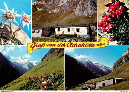 Praegraten Grossvenediger Clarahuette Umbaltal Roetspitze Edelweiss