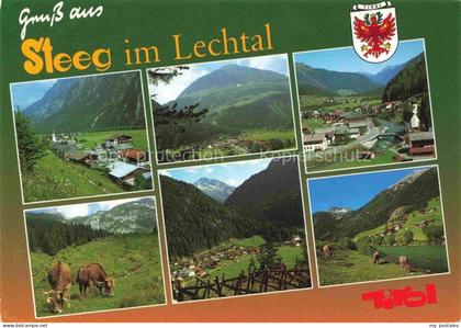 Steeg Lechtal Ausserfern Tirol AT Gruss-aus Lechtal Ortsansicht Kuehe Alpwiesen