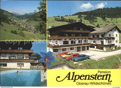 Wildschoenau Tirol Pension Alpenstern